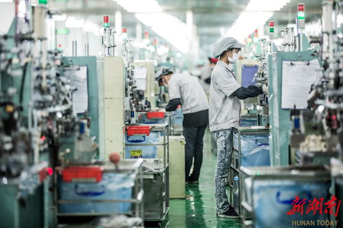 湖南14个市州2023年经济社会发展亮点掠影
