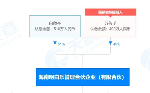 社会经济咨询服务的价值与发展路径